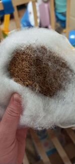 Матрас/матрац детский кокосовый 120*60