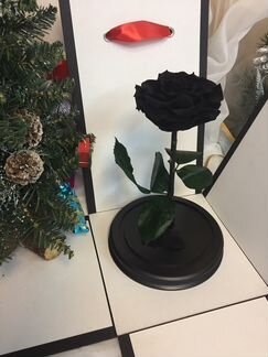 Роза в колбе «Чёрная» опт и розница